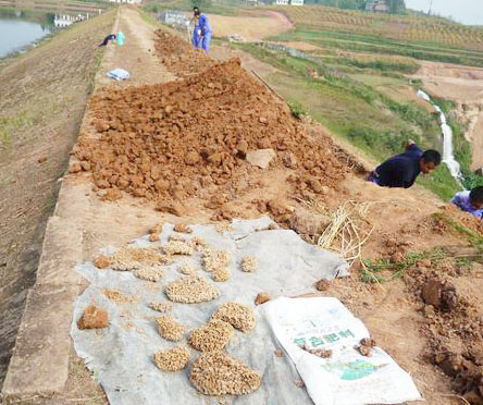 �̰�ˮ����Ϸ���