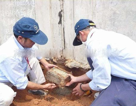 �������Ϸ���